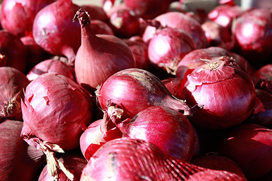 Cebollas buenas para la salud